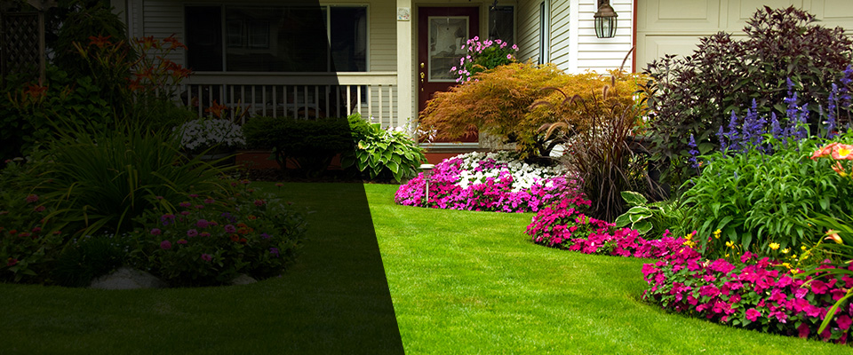 Cockeysville Landscapers