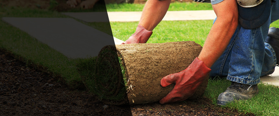 Cockeysville Landscapers